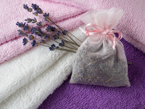 pot-pourri