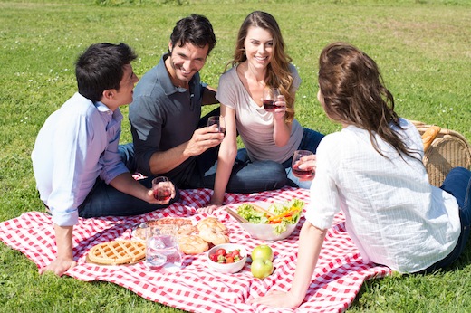 Picnic